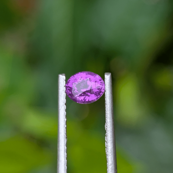 Pink Sapphire (0.90 ct) - Image 4